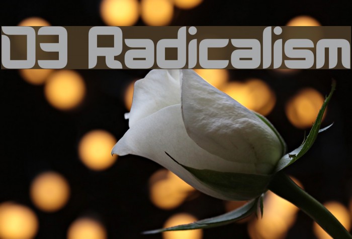 D3 Radicalism Font examples