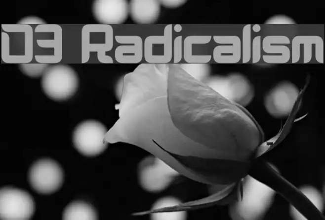 D3 Radicalism Example 2