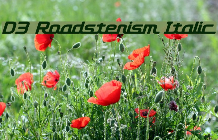 D3 Roadsterism Italic Font examples