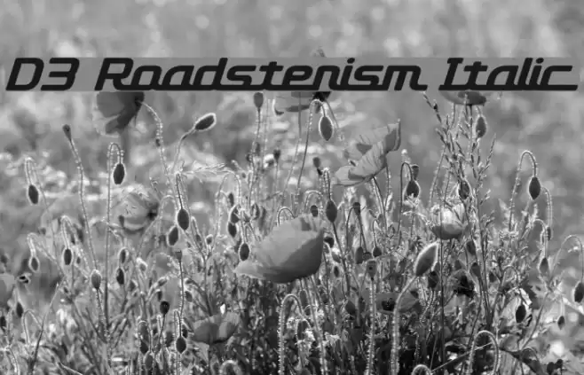 D3 Roadsterism Italic Caratteri examples