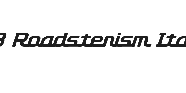 D3 Roadsterism Italic Logo