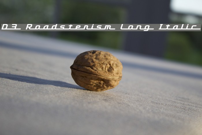 D3 Roadsterism Long Italic Font examples