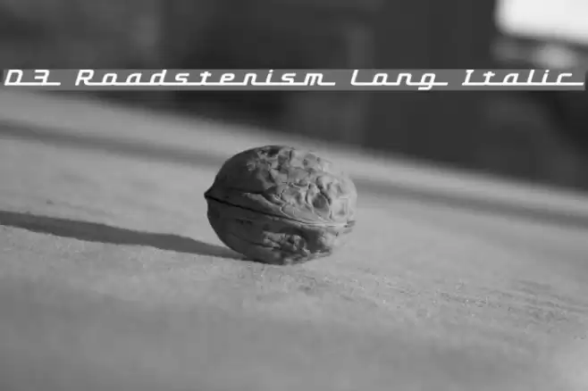 D3 Roadsterism Long Italic Font examples