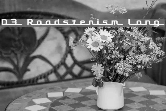 D3 Roadsterism Long Font examples