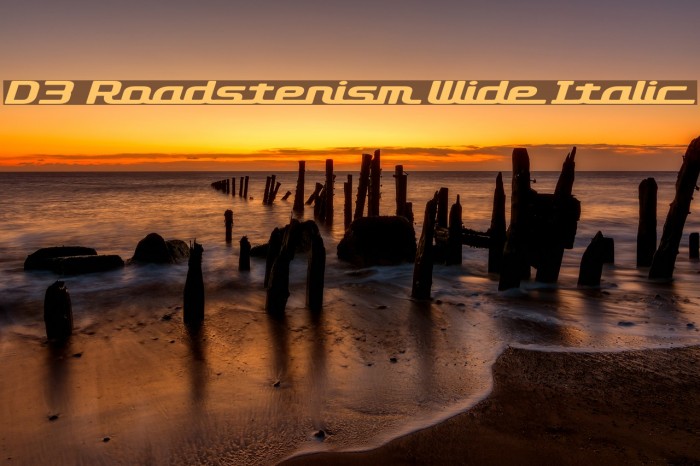 D3 Roadsterism Wide Italic Font examples