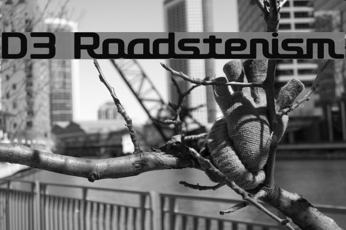 D3 Roadsterism Font examples