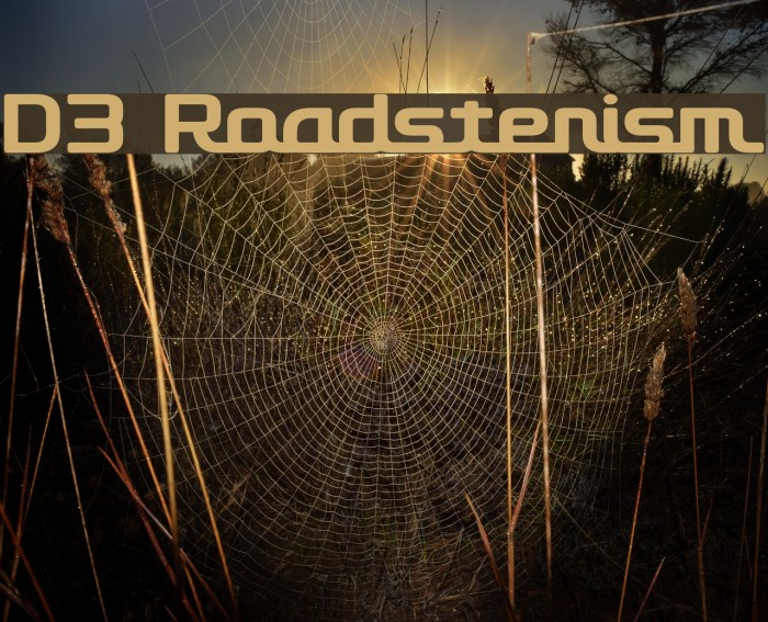 D3 Roadsterism Font examples