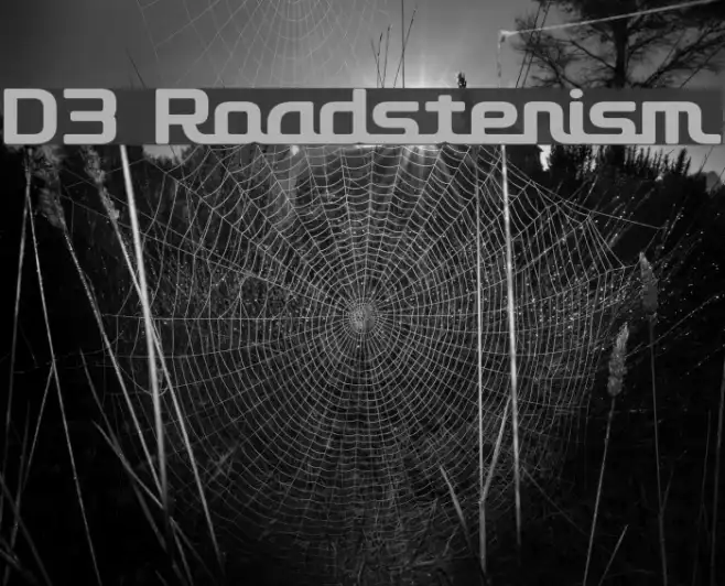 D3 Roadsterism Example 3
