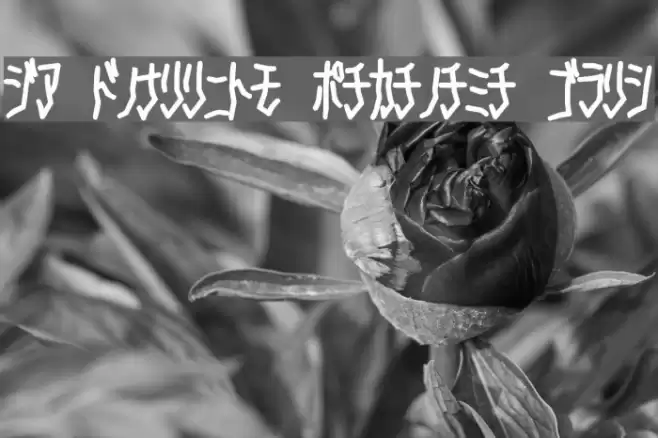 D3 Skullism Katakana Bold Font examples