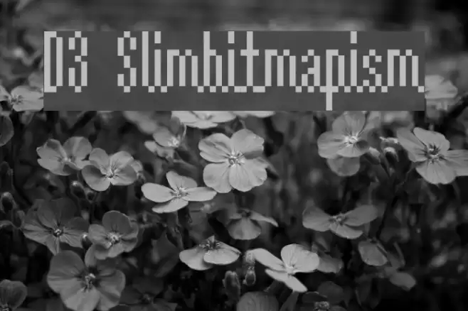D3 Slimbitmapism Font examples