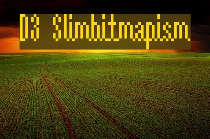 D3 Slimbitmapism Font examples