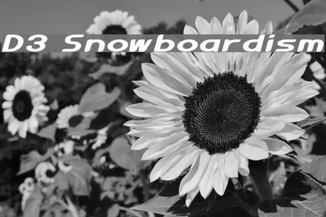 D3 Snowboardism Fonte examples