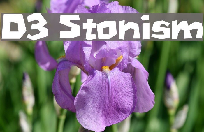D3 Stonism Font examples