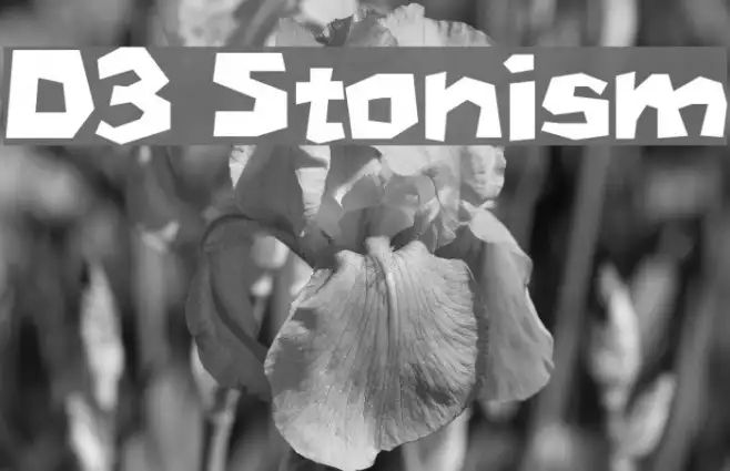 D3 Stonism Example 3