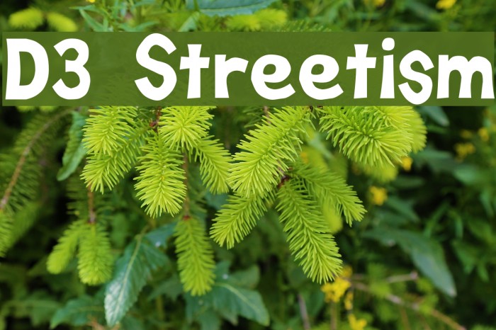 D3 Streetism Font examples