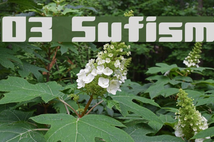 D3 Sufism Font examples