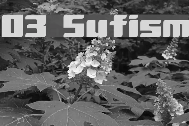 D3 Sufism フォント examples