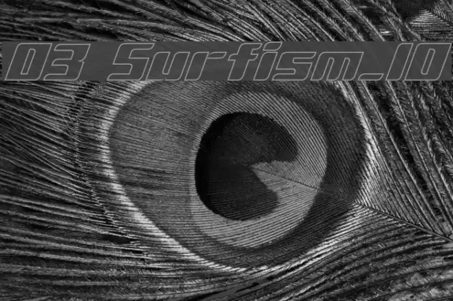 D3 Surfism_IO Font examples