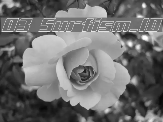 D3 Surfism_IO Font examples