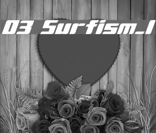 D3 Surfism_I Schriftart examples
