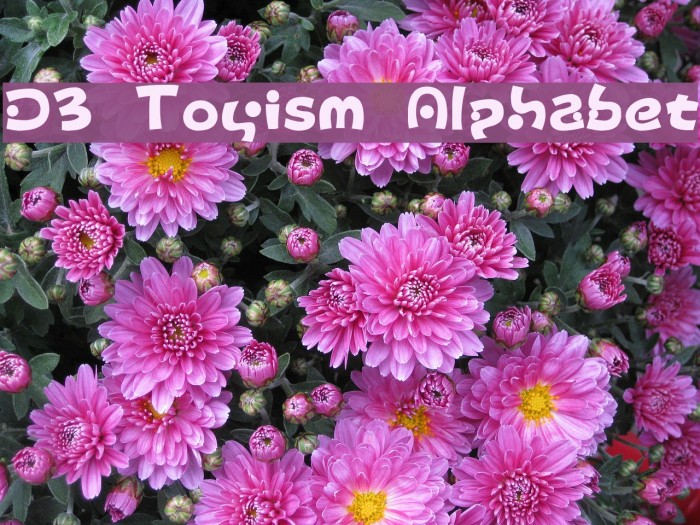 D3 Toyism Alphabet Font examples