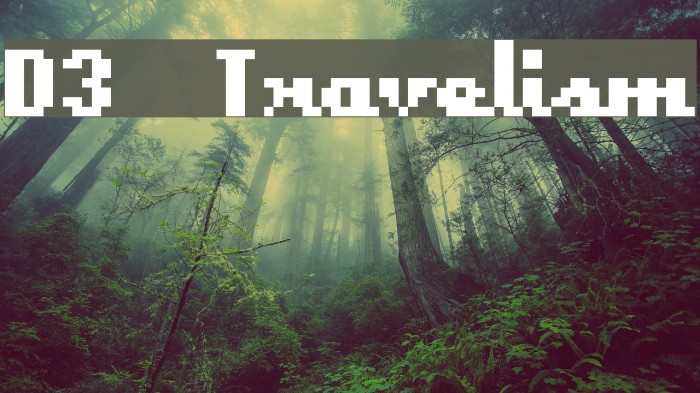 D3 Travelism Font examples