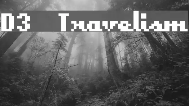 D3 Travelism Example 3