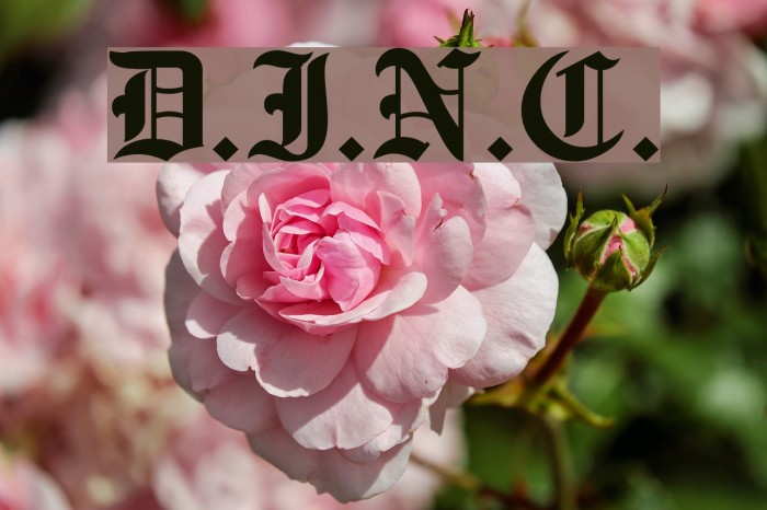 D.I.N.C. Font examples