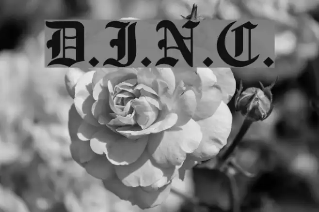 D.I.N.C. Example 2