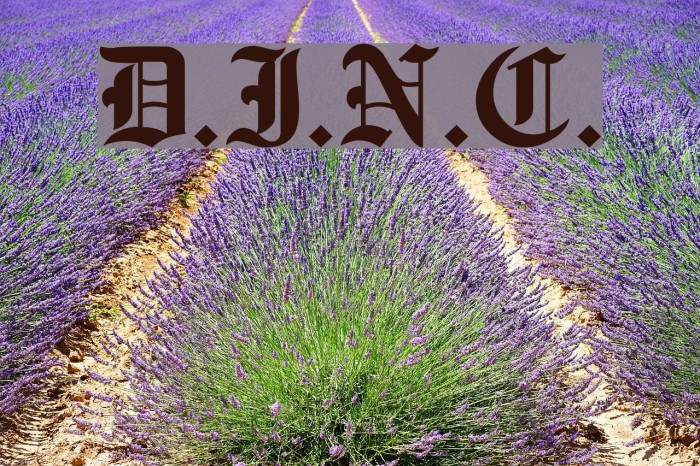 D.I.N.C. Font examples
