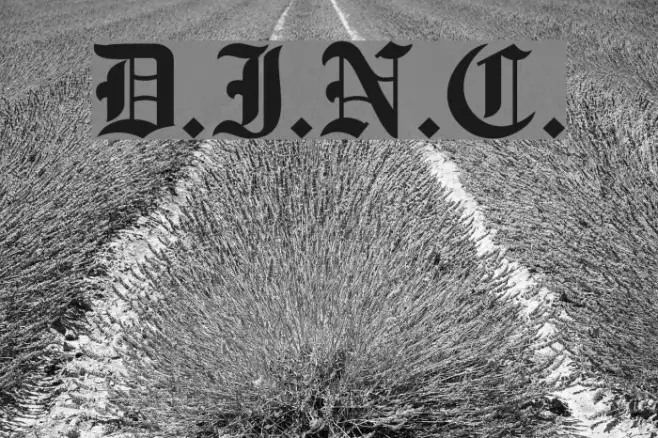 D.I.N.C. Example 3
