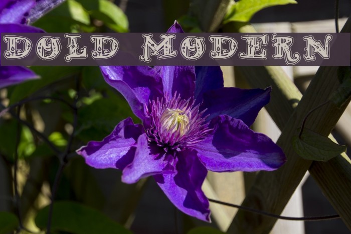 D_OLD MODERN 2 Font examples