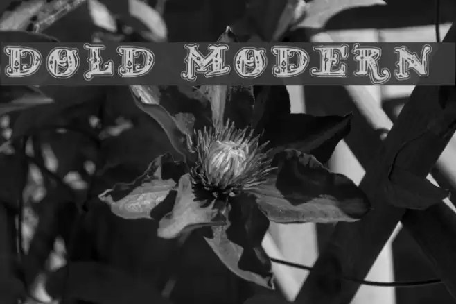 D_OLD MODERN 2 フォント examples