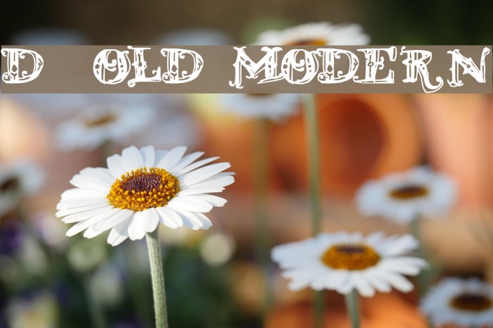 D_OLD MODERN Font examples