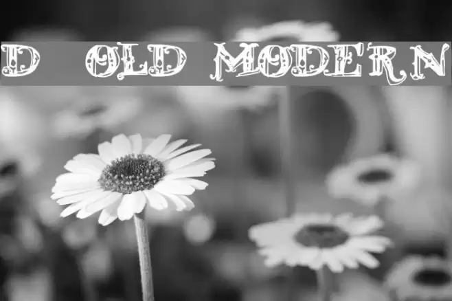 D_OLD MODERN Fuentes examples