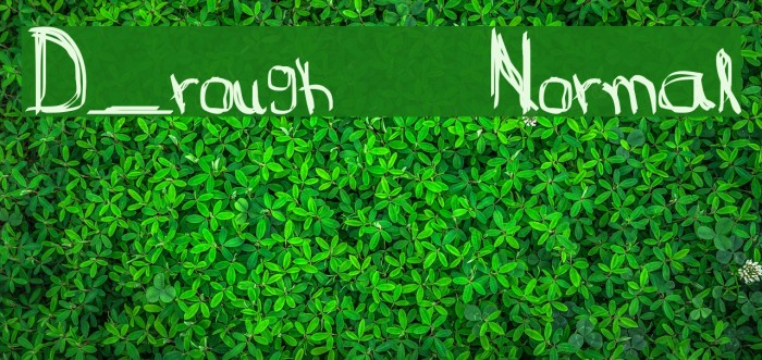 D_rough Normal Font examples