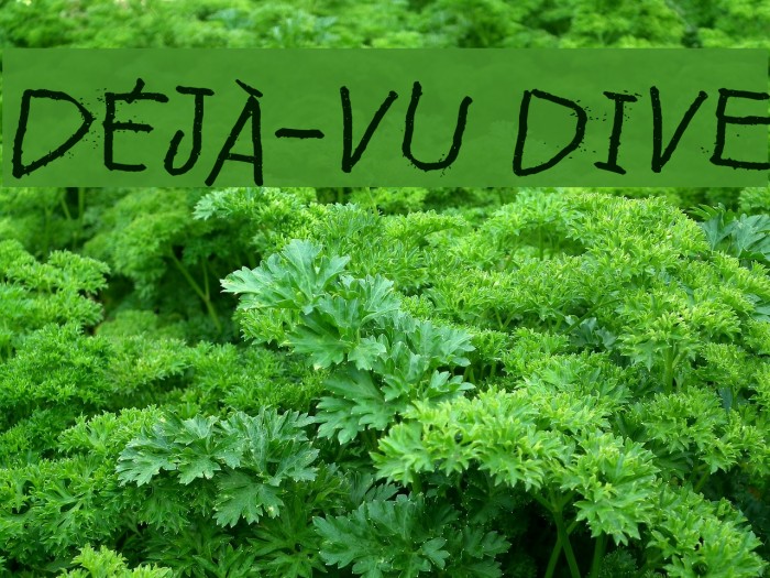 Déjà-vu dive Font examples