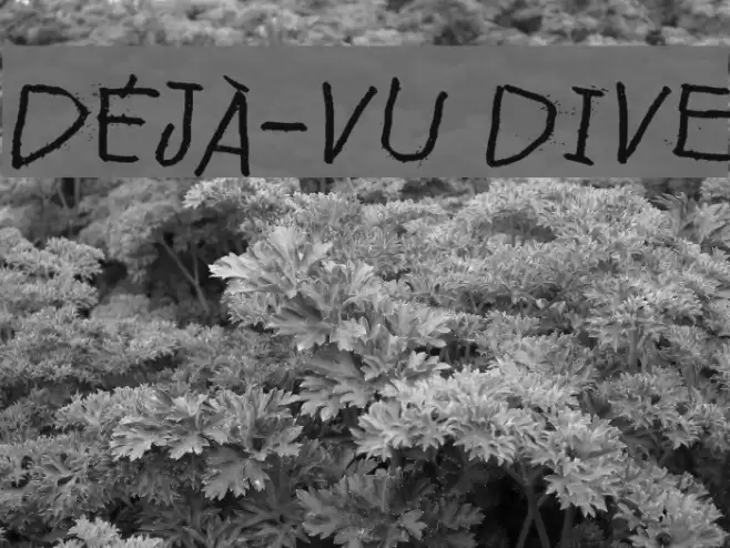 Déjà-vu dive Fuentes examples