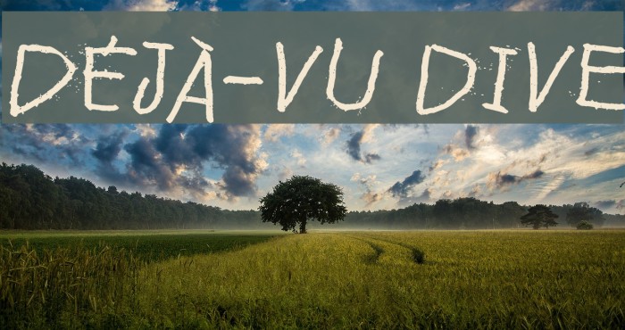 Déjà-vu dive Font examples