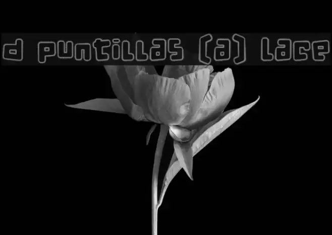 d puntillas [a] Lace Example 1