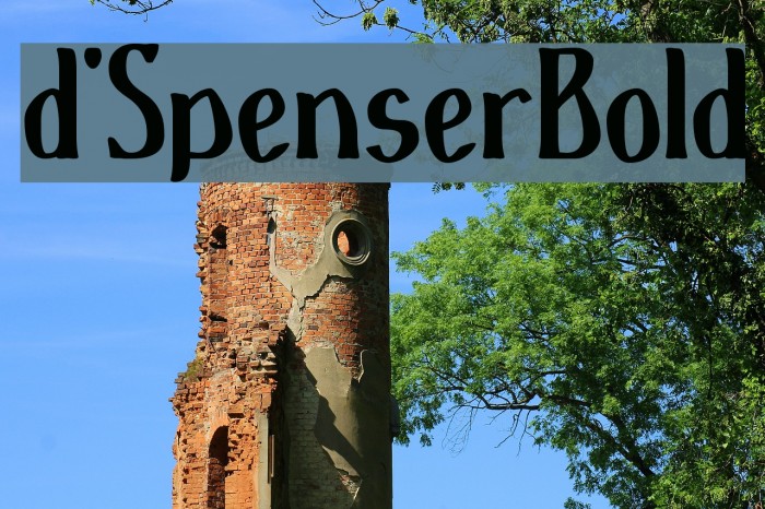 d'SpenserBold Font examples