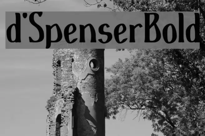 d'SpenserBold Font examples