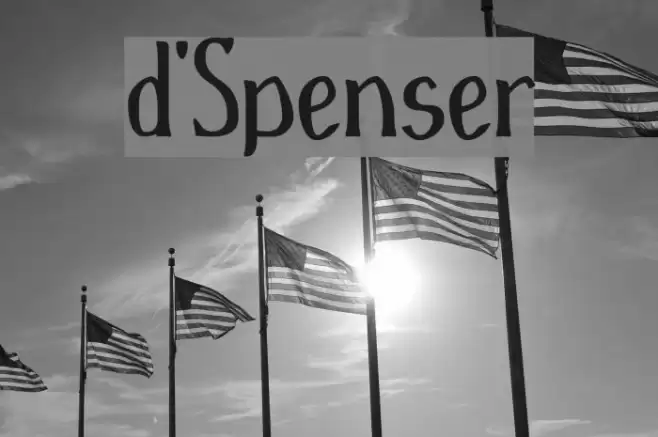 d'Spenser Polices examples