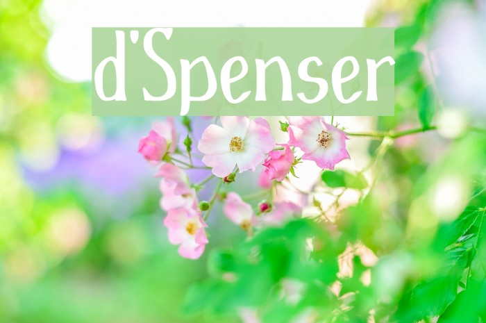 d'Spenser Font examples