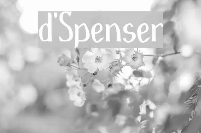d'Spenser Polices examples