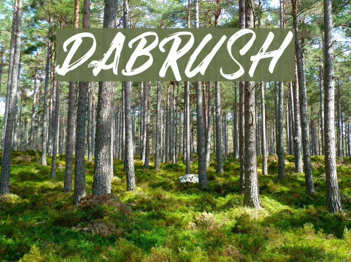 DABRUSH Font examples