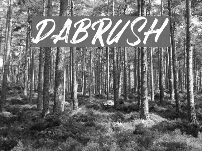 DABRUSH Example 2