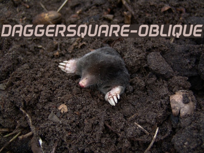 DAGGERSQUARE-OBLIQUE Font examples