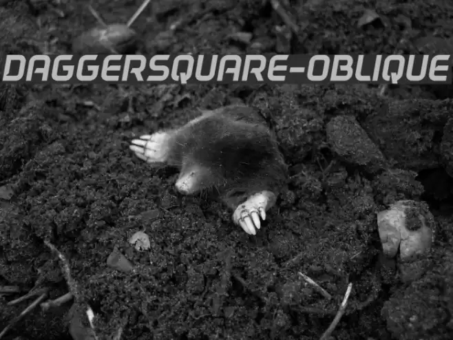 DAGGERSQUARE-OBLIQUE Font examples