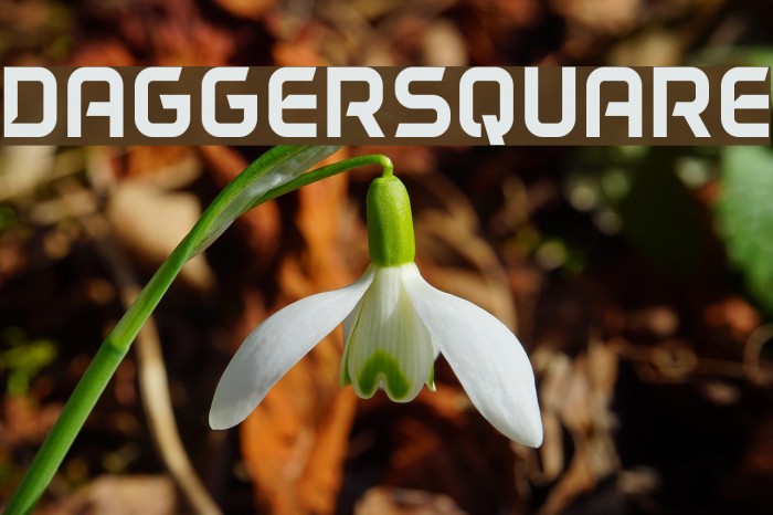 DAGGERSQUARE Font examples